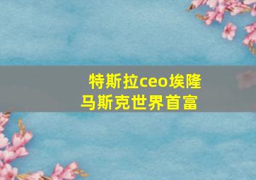 特斯拉ceo埃隆 马斯克世界首富